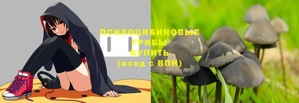 круглые Алексеевка
