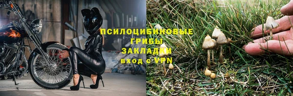 spice Алексин