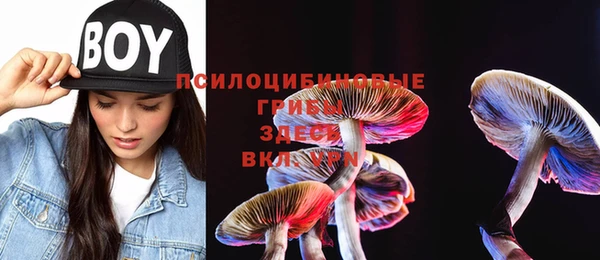 круглые Алексеевка
