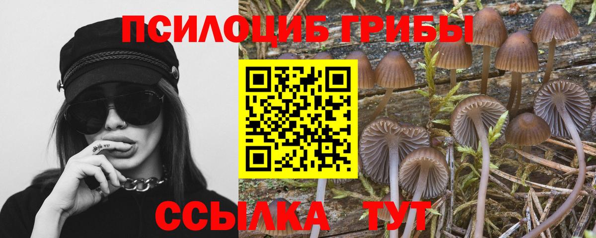 Галлюциногенные грибы мухоморы Ахтубинск